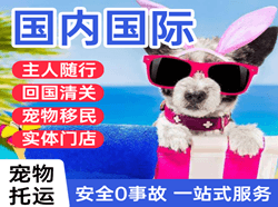 厦门航空快递国际宠物托运 【国